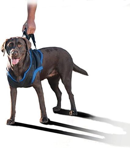 walkabout dog harness