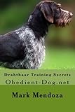 Image de Drahthaar Training Secrets: Obedient-Dog.net