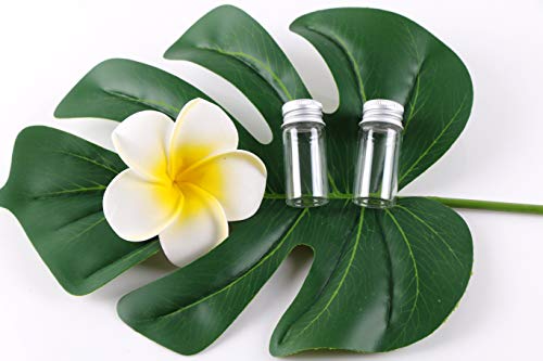 MaxMau 100 Glass Vials 10 Milliliter Small Mini Bottles Clear Empty Jars with Aluminum Top Screw Lids Message Sample Bottle Wedding Favors Decorations DIY Jewelry Accessories Liquid Hold Storage