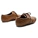 Ollio Women's Shoe Classic Lace Up Dress Low Flat Heel Oxford