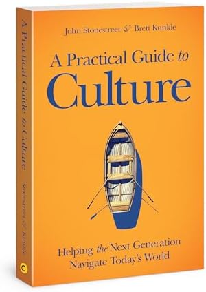 Institutional Patterns and Organizations: Culture and Environment