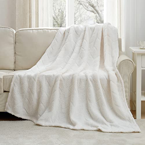 Cozy Bliss Sherpa Throw Blanket 50