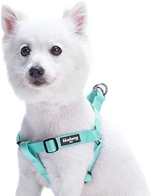 puppy chest harness