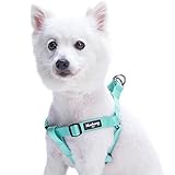Blueberry Pet Essentials 19 Colors Step-in Classic Dog Harness, Chest Girth 20" - 26", Mint Blue, Medium, Adjustable Harnesses for Dogs
