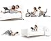 iCraze Stand for Laptop, Ipad, Books + Two Cooling Fans USB Plug + Laptop Table Laidback Computer Desk Portable Bed Tray Book Stand Multifuctional (Black)