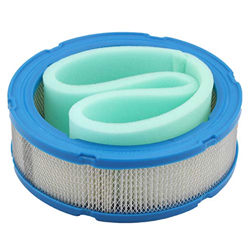 Wellsking 394018S 272490S Air Filter for Briggs & Stratton 392642 394018 271271 272490 Vanguard V-Twin 12.5-21hp Engine John Deere LT166 with Fuel Pump 492932S Oil Filter