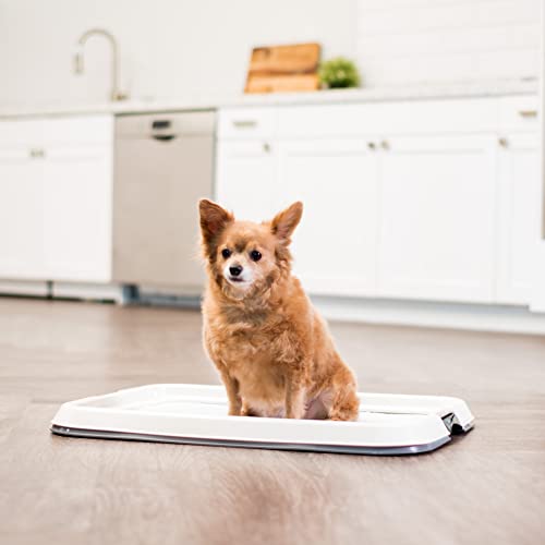 IRIS USA 25.55" x 18.90" Medium Pee Pad Holder, Pet Puppy Small Medium