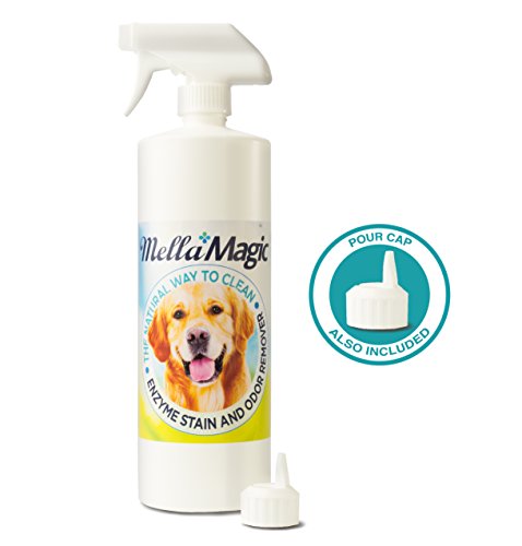 Best coconut oil stain carpet