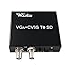 Wiistar VGA+CVBS to SDI Converter support 2 SDI outputs
