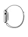 Apple Watch (38MM) Stainless Steel Case with Milanese Loop