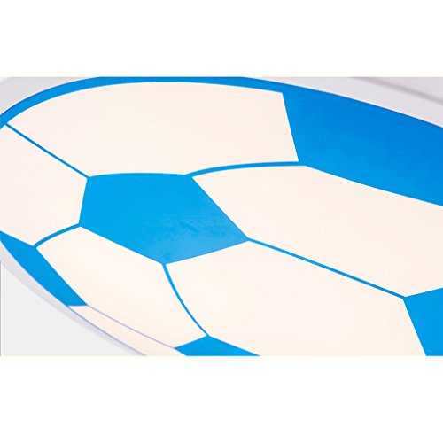 Fan Ceiling Pendant Light Chandelier Led Light Source Remote