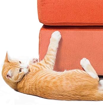 cheap cat accessories