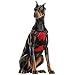 rabbitgoo Dog Harness, No-Pull Pet Harness with 2 Leash Clips, Adjustable Soft Padded Dog Vest, Reflective No-Choke Pet Oxford Vest with Easy Control Handle for Large Dogs, Red, L