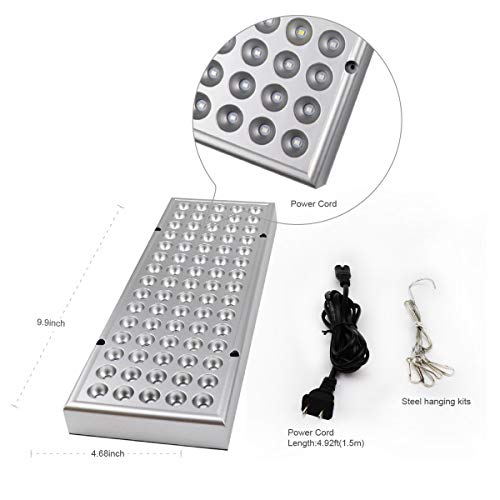 6 Lights+Spectrum+Indoor+Succulents+Seedling