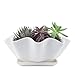 Mkono 6-Inch White Ceramic Succulent Plant Pot with Saucer Modern Cactus Planter Decorative Planting Bowl with Drainage Hole