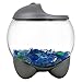 Tetra 29263 Betta Bubble Betta Bowl with Built In LED Light