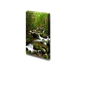 Beautiful Scenery Landscape Stream Moving in The Forest Over Mossy Rocks - Canvas Art Wall Art - 18" x 12"