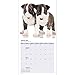 Bull Terrier 18 Month 2016 Wall Calendar