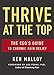 Thrive at the Top: The CEO's Guide to Chronic Pain Relief by 