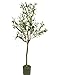 4-Feet Olive Silk Tree,Artificial Silk Plant,artificial tree Green (4 Feet Olive Silk Tree)