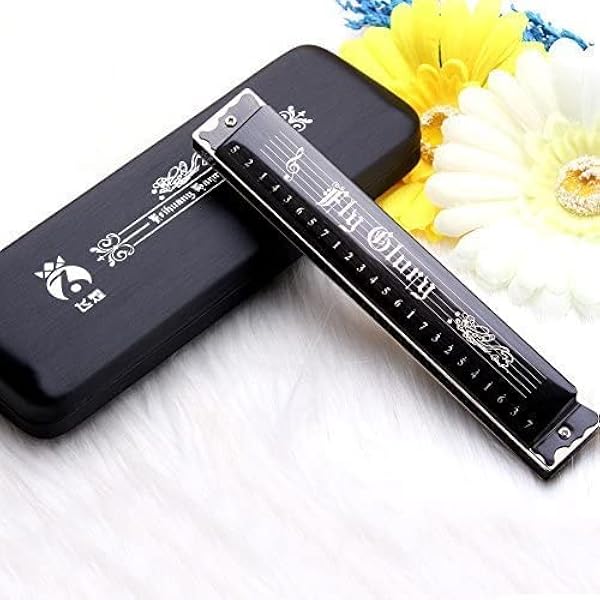 Hohner Weekender 24 Hole Tremolo 
