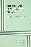 The Dreamer Examines His Pillow