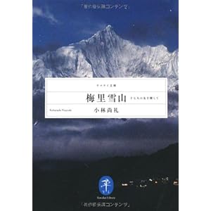 Bairi setsuzan : 17nin no tomo o sagashite