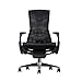 Herman Miller Embody Ergonomic Office Chair with Graphite Frame/Titanium Base | Adjustable Arms with Translucent Casters | Mulberry Rhythm