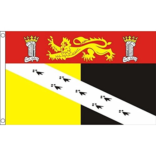 AZ FLAG - Norfolk County Flag - 2x3 Ft - 100D Polyester County Of Norfolk - England Banner with Two Metal Grommets - Fade Resistant - Vivid Colors - 2' x 3' Feet - 90x60 Cm