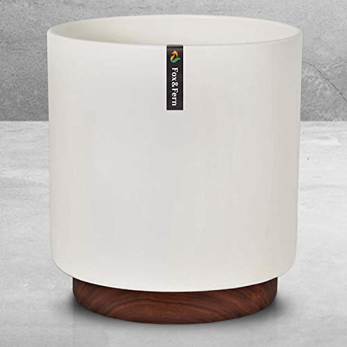 Fox & Fern New Set of 2 Large Plant Pots – 10″ and 12″ in Diameter – Solid Walnut Wood Base – Modern Indoor and Outdoor Planter – (Set of 2-10″ + 12″, Matte White)