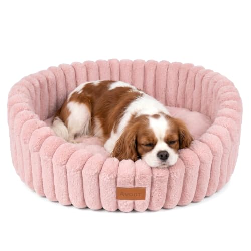 Avont Cat Bed for Indoor Cats, Fluffy Washable with Raised Rim at Amazon