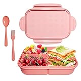 Kids Bento Box, ASYH Mom’s Choice 3 Compartment