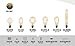 Edison light bulb – 6 Pack – The Capital - 40 Watt Bulb - Choose from many other designs. watt Inspired by Thomas Edison these incandescent filament style bulbs provide retro vintage light ambiance