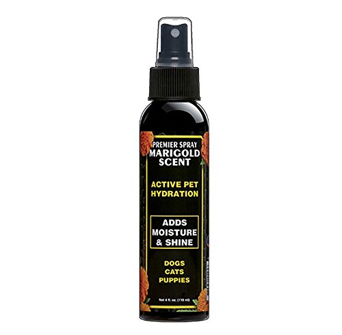 EQyss Premier Pet Spray Marigold Scent - Moisturizes & Conditions for Healthy Skin/Coat, Non-greasy, Adds Shine - Great for Dogs, Cats, Puppies (4 oz)