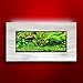 Aussie Aquariums AA-MINIVIEW-BSILVER 2.0 Wall Mounted Aquarium, Brushed Silverthumb 1