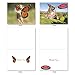 M6448TYG The Flying K9: 10 Assorted Thank You Note Cards Featuring a Variety of Dog Breeds Enjoying Flights of Fancy, w/White Envelopes.