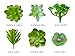 PDTXCLS SimplePlants 12 Piece Artificial Succulent Plants | Mini Fake Succulents for Home Décor and Indoor Wall Garden | Faux Unpotted Succulent Picks for Arrangements