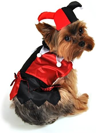 Anit Accessories AP1083-M Jester Dog Costume