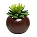 MyGift Succulents Plants Artificial, Fake Faux Indoor House Plants in Round Brown Ceramic Pots, Set of 3