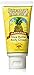 Island Soap and Candle Works Shea Butter Body Cream for Men and Women - Body Moisturizer for Dry Skin - Beauty and Personal Care - Hawaiian Gifts - Pineapple Paradise, 3 Fl oz. Bottle