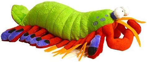 shrimp stuffed toy