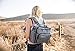 JuJuBe B.F.F Multi-Function Convertible Diaper Backpack/Messenger Bag Onyx Collection, Gray Matter, One Size