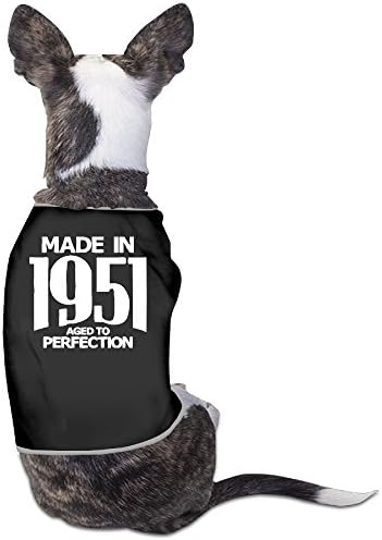 LeeRa Made In 1951 - Aged To Perfection Dog Sweater