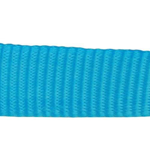 Red Dingo Classic Turquoise Dog Collar, Small/12mm