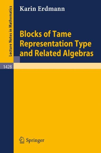 Blocks of Tame Representation Type and Related Algebras (Lecture Notes in Mathematics)