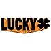 LUCKY Crew Complete Pro Stunt Scooter, Graphite/Orange