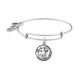 Alex and Ani Sagittarius II Expandable Rafaelian Silver-Tone Wire Bangle Bracelet, 7.25"