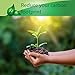 Eco Friendly Green Straws, Bulk Pack of 200 Plastic Green Environment Friendly Green Drinking Straws by Upper Midland Products