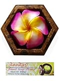 Jittasil Hand-Carved Soap Flower, Rainbow Plumeria Gift Set In Wood Case, 4 Inch