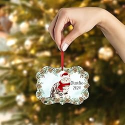Grey Tabby American Shorthair Cat Christmas